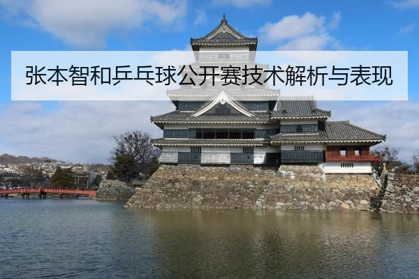 张本智和乒乓球公开赛技术解析与表现