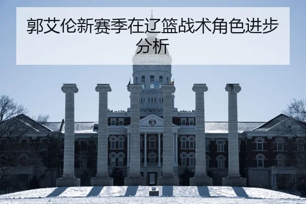 guo-ai-lun-xin-sai-ji-zai-liao-lan-zhan-shu-jue-se-jin-bu-fen-xi-2-712.jpg